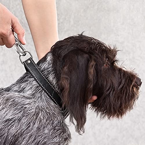 4pcs Pet Dog Leash Hooks Heavy Duty Snap Hooks Pet Buckle Dog