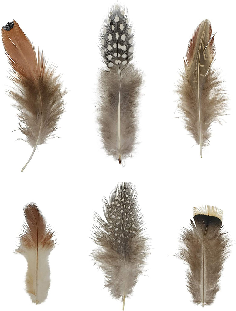 White Feathers, Craft Feathers, Natural Feathers, Loose Feathers, Wholesale  Feathers, Real Feathers, Long Feathers 