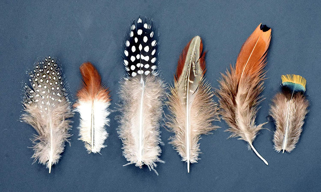 Hat Feathers 9 PCS Assorted Natural Feather Packs Accessories for